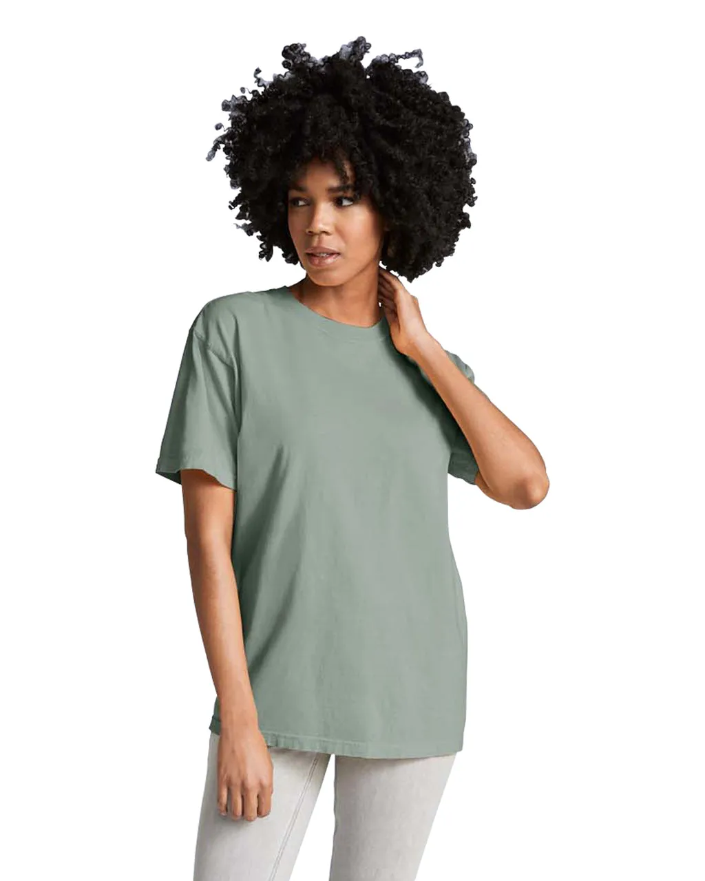 Comfort Colors Adult Heavyweight T-Shirt (1717)