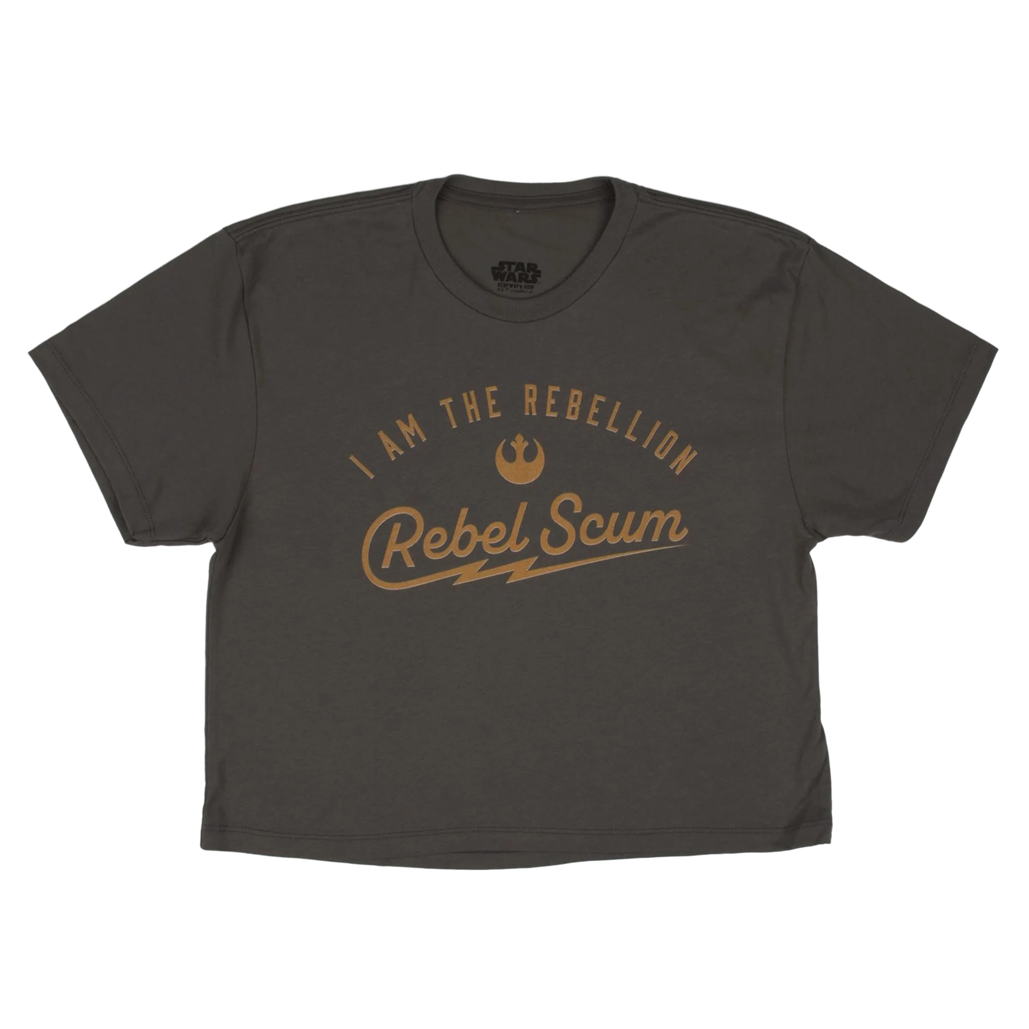 I Am The Rebellion Cropped Grey Tee