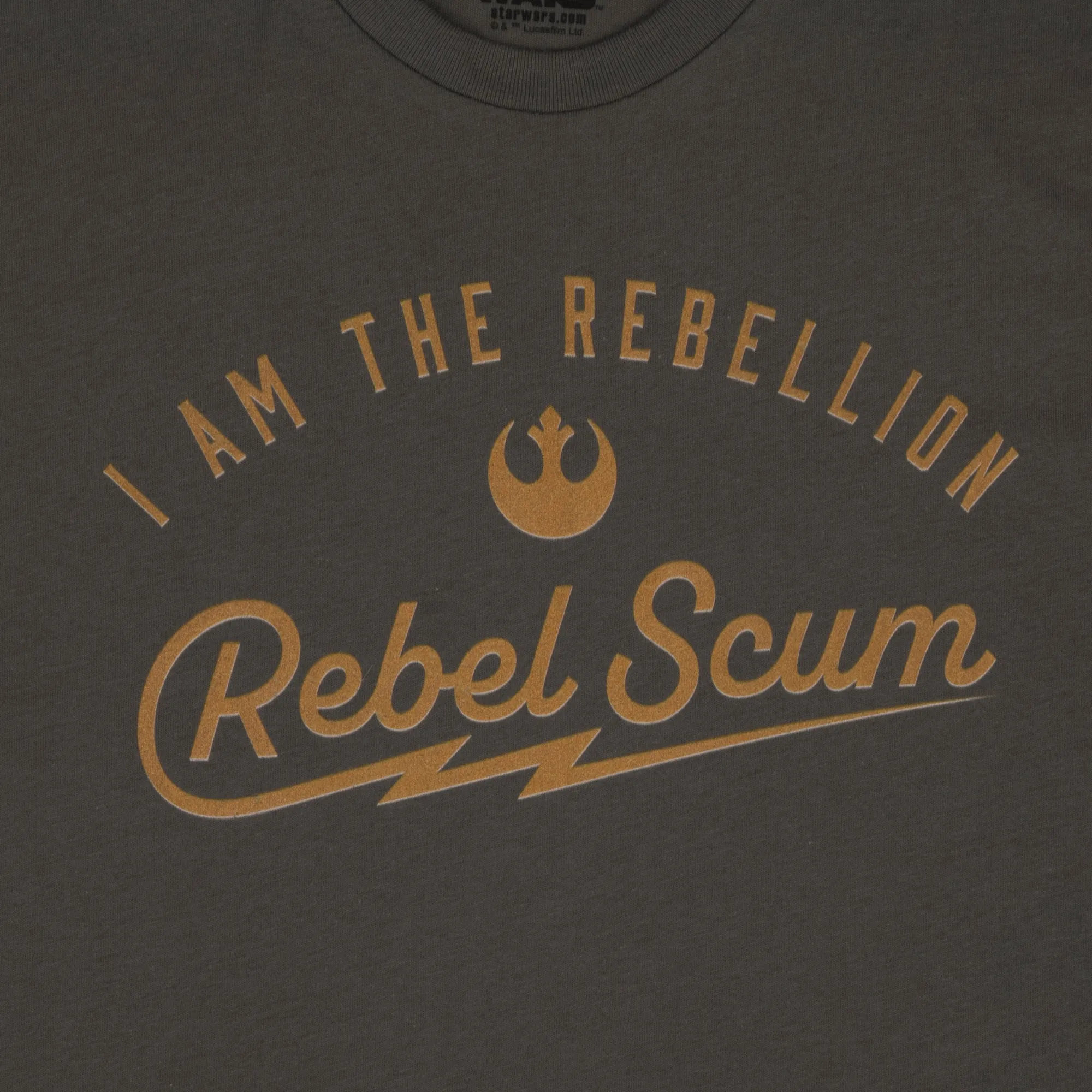 I Am The Rebellion Cropped Grey Tee